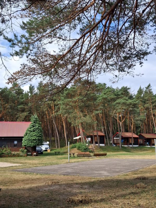 Oferujemy możliwość wynajęcia 3 miejsc campingowych. 