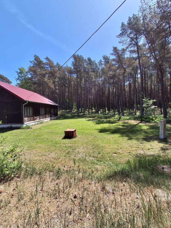 Wir bieten die Möglichkeit, 3 Campingplätze zu mieten.