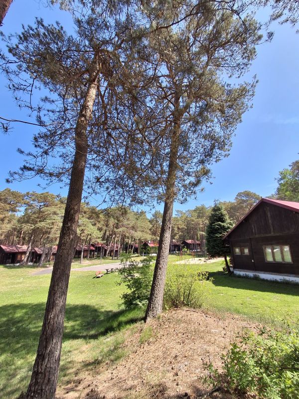  We offer the possibility of renting 3 camping spots.
